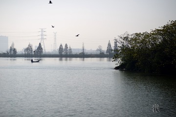 DSC_9316s