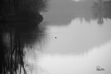DSC_3204s