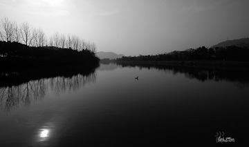 DSC_3020xs