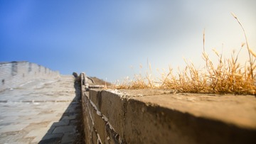 _DSC6950