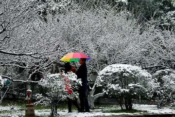 IMG_20160121_131827