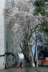 IMG_20160121_132457