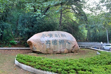 IMG_20150901_110519