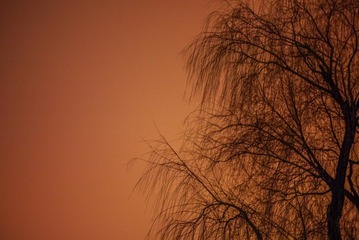 P1070939-1