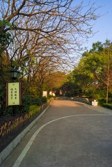 _DSF1400