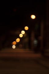 _DSC8621