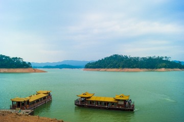 _DSC8941