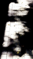 6DCD756B-0490-402C-8685-C814B64231E6/L0/001
