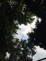 429762