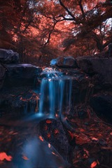 九溪寻秋