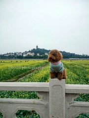 IMG_20160217_152608_HDR_wm