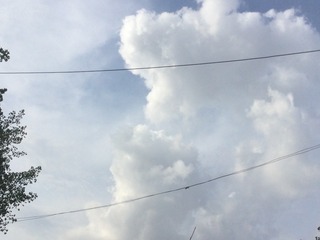 2354262