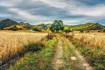 路