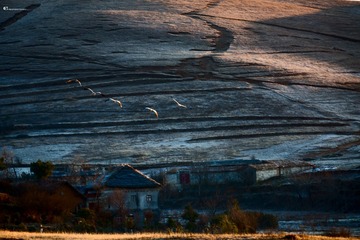 cb15_5989