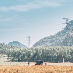 P4020388-1