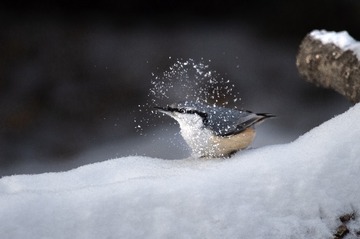 665522