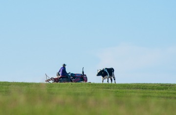 _DSC8944