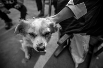 20160211-DSC_7846