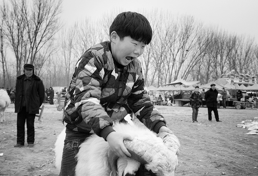骑羊拍摄于山东梁山县贾谷堆