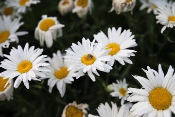 129171
