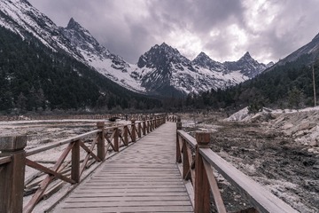 SAM_2667