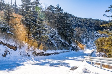 20221230-大九湖-神农架-天燕-253-M