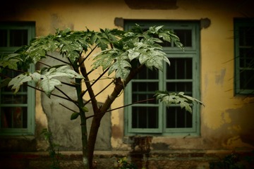 P3200101
