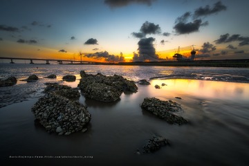 By The Sea II