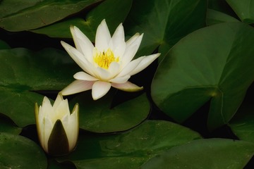 001