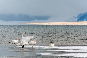 “DSC_2673”为智能对象-2