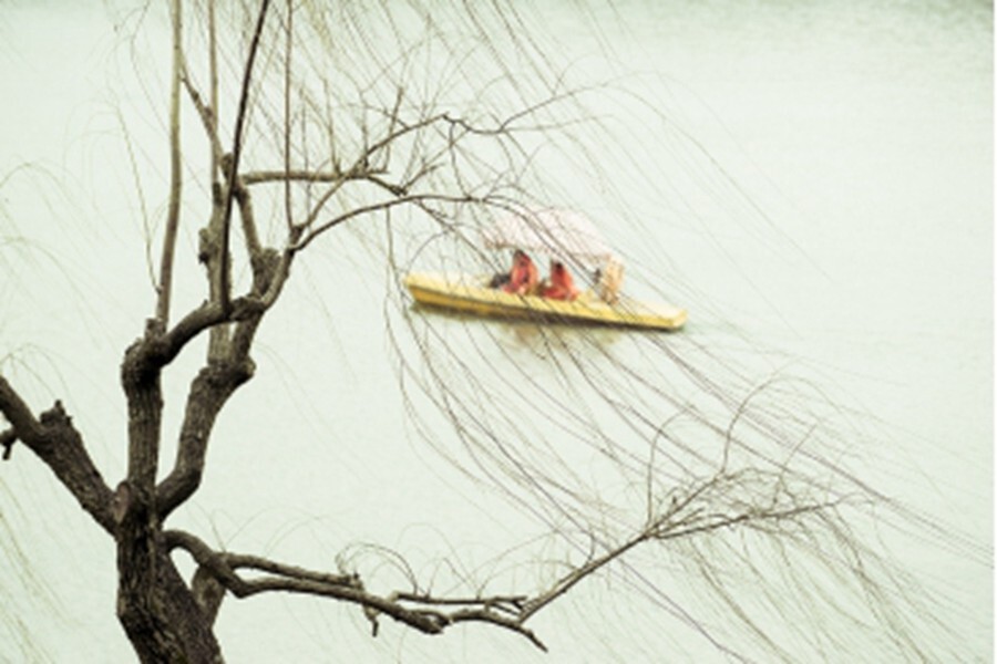 董月芳 摄 卿语配诗<br />
<br />
《春日协奏》<br />
南风吹,吹呀吹<br />
船儿摇,摇啊摇<br />
鸟儿飞,轻轻唱<br />
柳枝垂,漫漫舞<br />
我的心,还在追