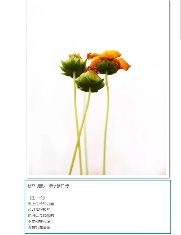 卿语（若水雅轩）配诗