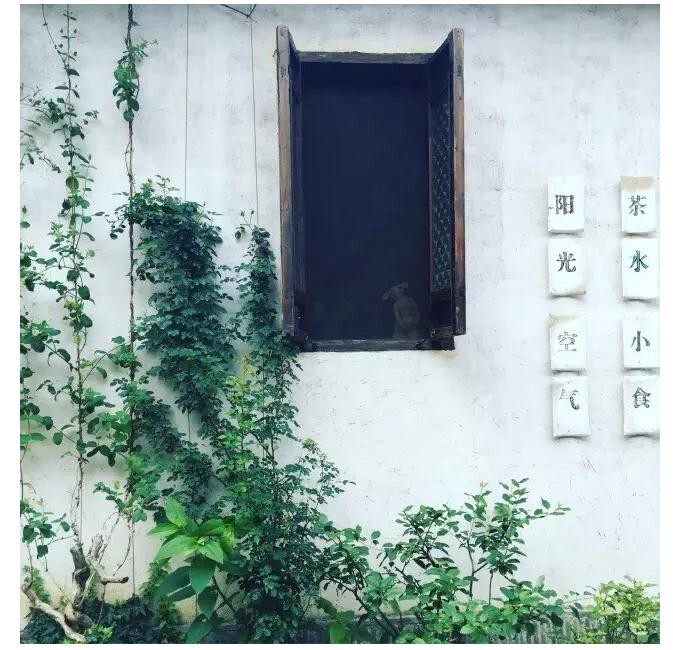 杜兵  摄影   卿语 诗   <br />
<br />
《叶子》<br />
风拂动攀爬的叶<br />
微风<br />
藤蔓轻柔