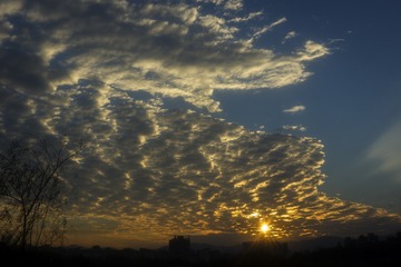 DSC07589-1