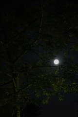 DSC04373-01