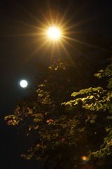 DSC04382-01