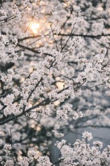 F33BB67E-1C0A-42F6-94FC-27865482C70E/L0/001