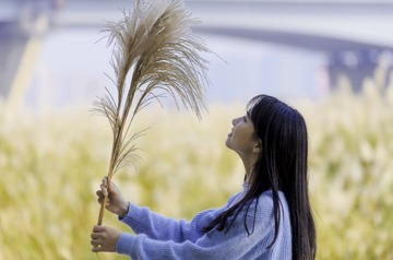 DSC_4320-编辑