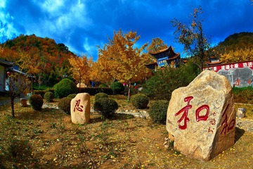秋到古寺