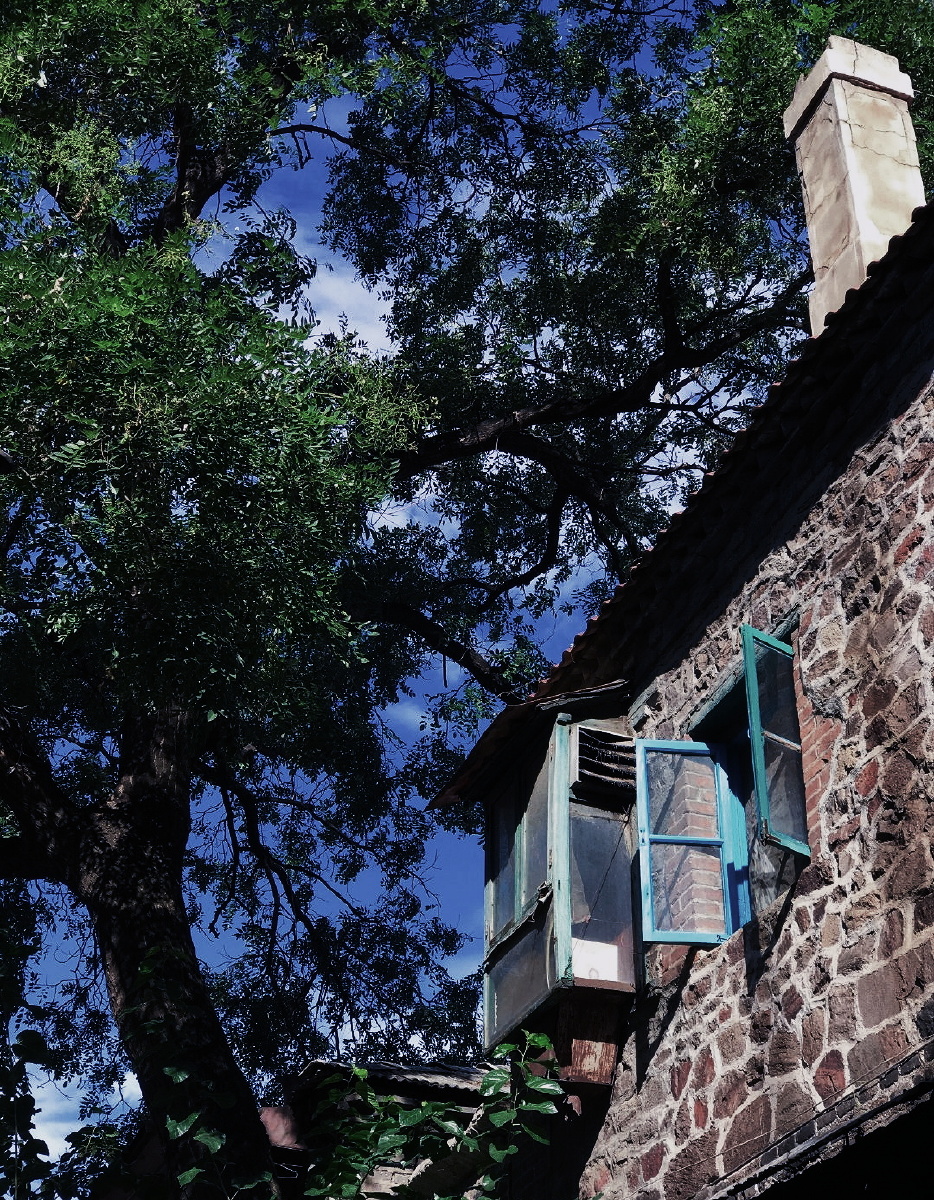 麻叶绿了小轩窗 - 图虫