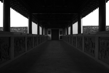 DP1M0099