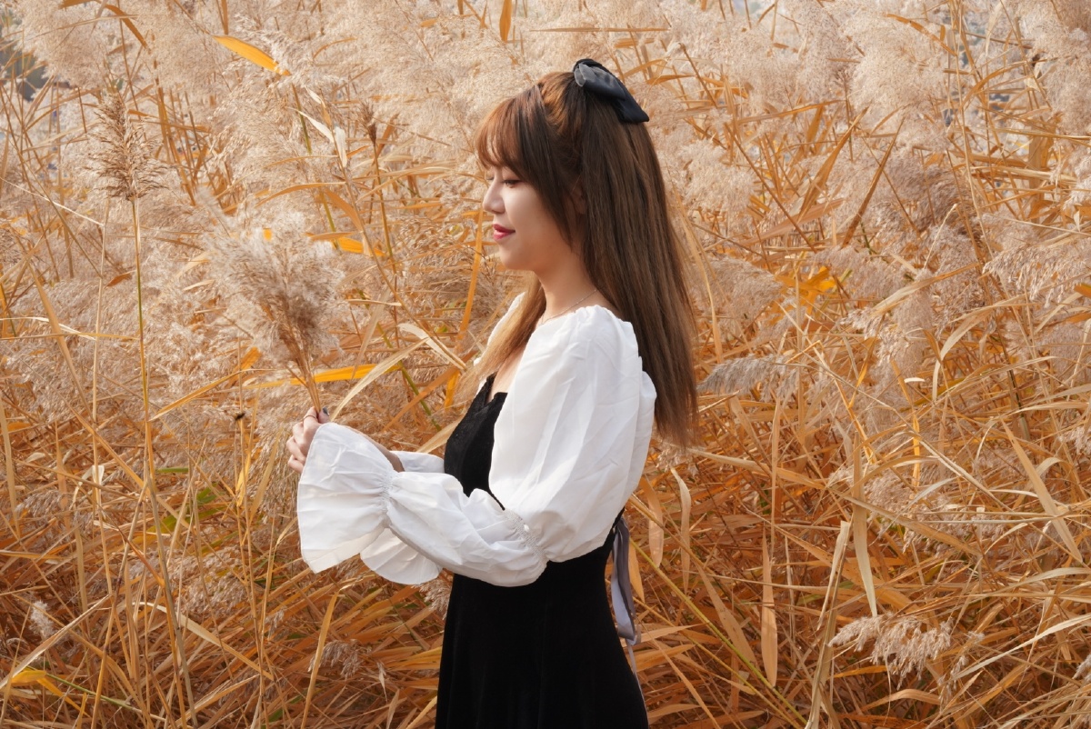 北方秋意浓 人景两相悦东方日正胜 华夏好政党世界病毒胜 唯我中华安