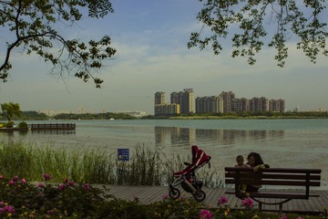 _DSC0564