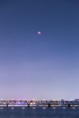 今夜不是白月光