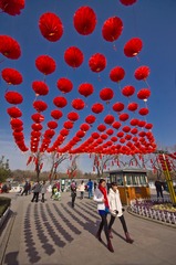 DSC02107_