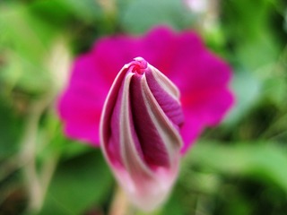 IMG_1361_