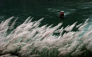 秋渡