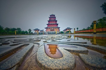 DSC02431_