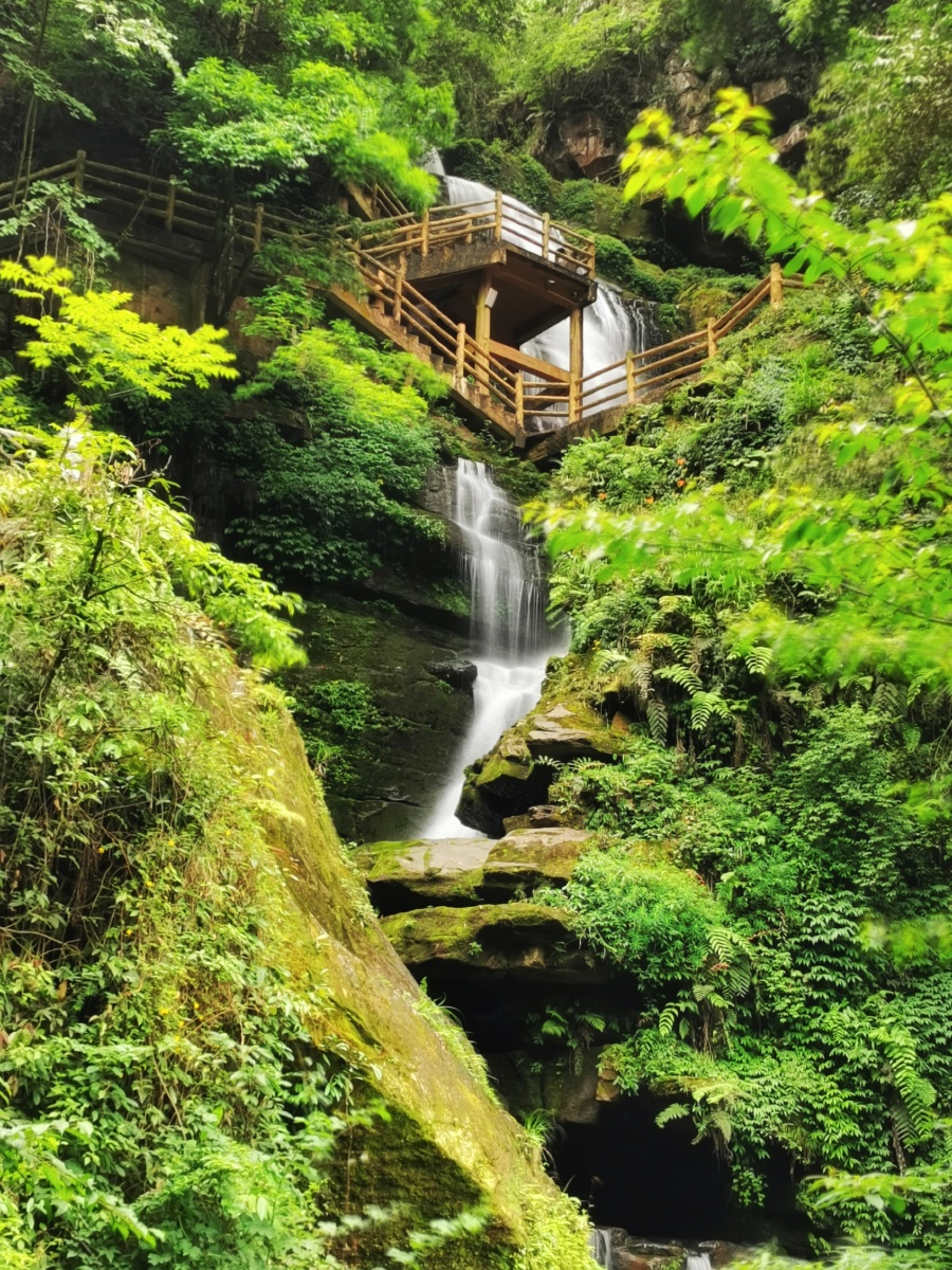 雅安的碧峰峡大峡谷,基本算是非常原生态的一处自然景观,即使外面闷热