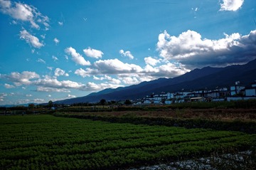 M9 Digital Camera Leica Summicron-M 28mm f-2 ASPH. 20151023 川西旅游 L1001073 648